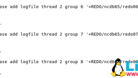 Oracle同机单实例加入RAC集群